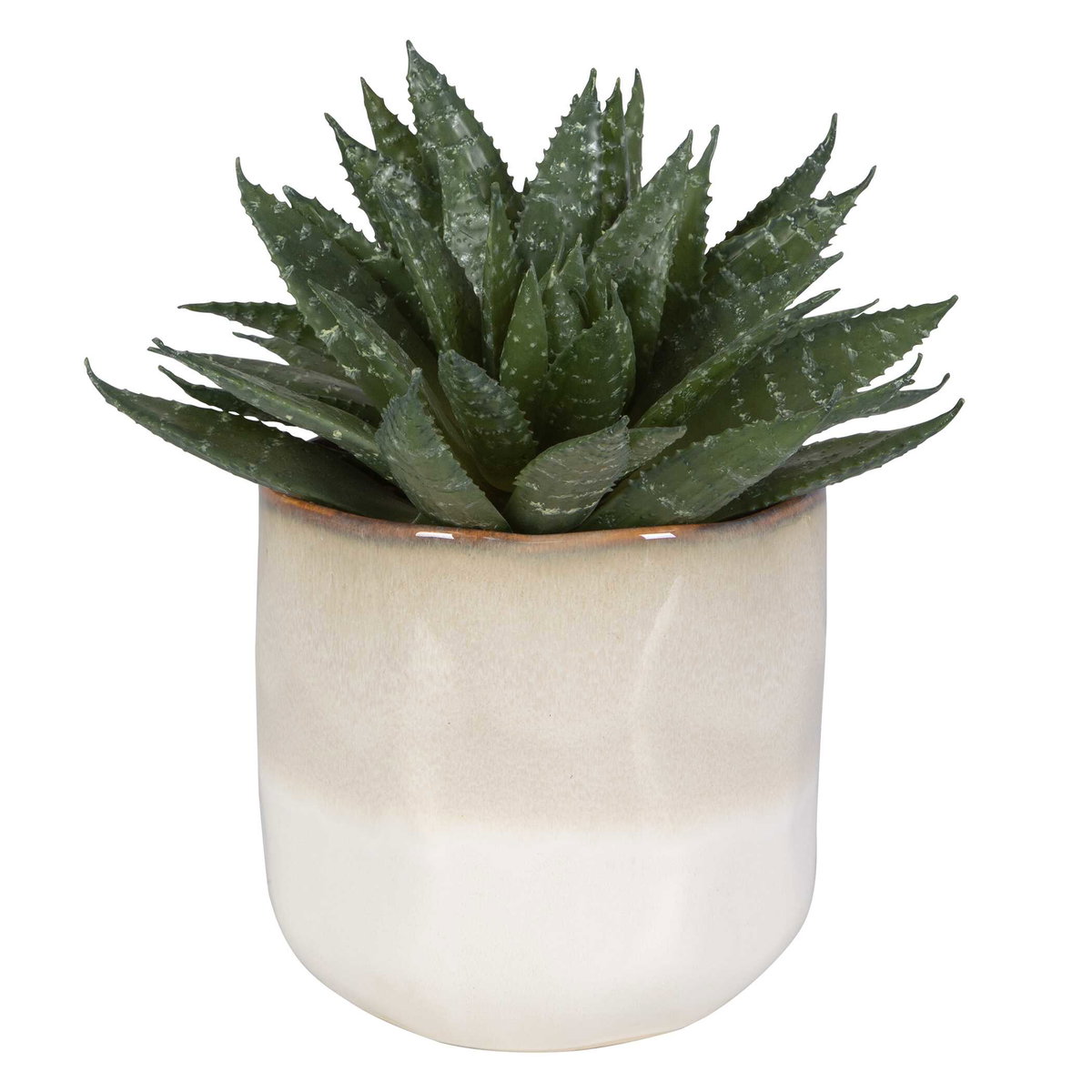 Doha Succulent Accent, Artificial Plants & Flower by Uttermost, 11" width x 10.5" height x 9" depth View 3