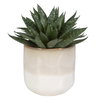 Doha Succulent Accent, Artificial Plants & Flower by Uttermost, 11" width x 10.5" height x 9" depth thumbnail 3