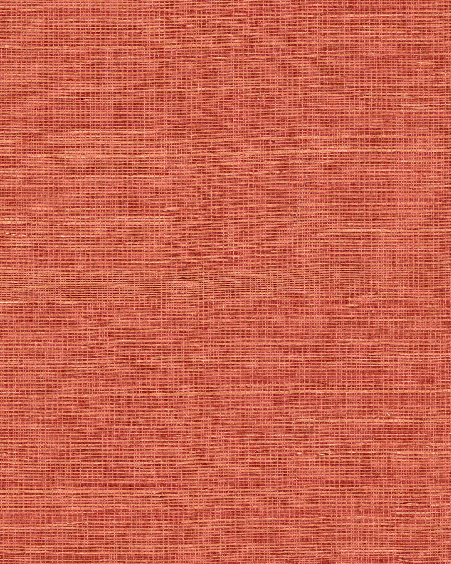 Maguey Sisal Rhubarb Wallpaper large image 