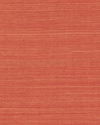 Maguey Sisal Rhubarb Wallpaper thumbnail 0