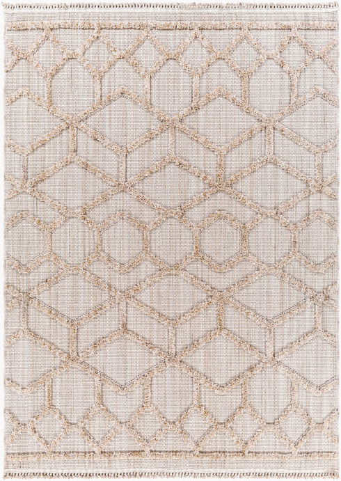 Zaragoza Machine Woven Rug