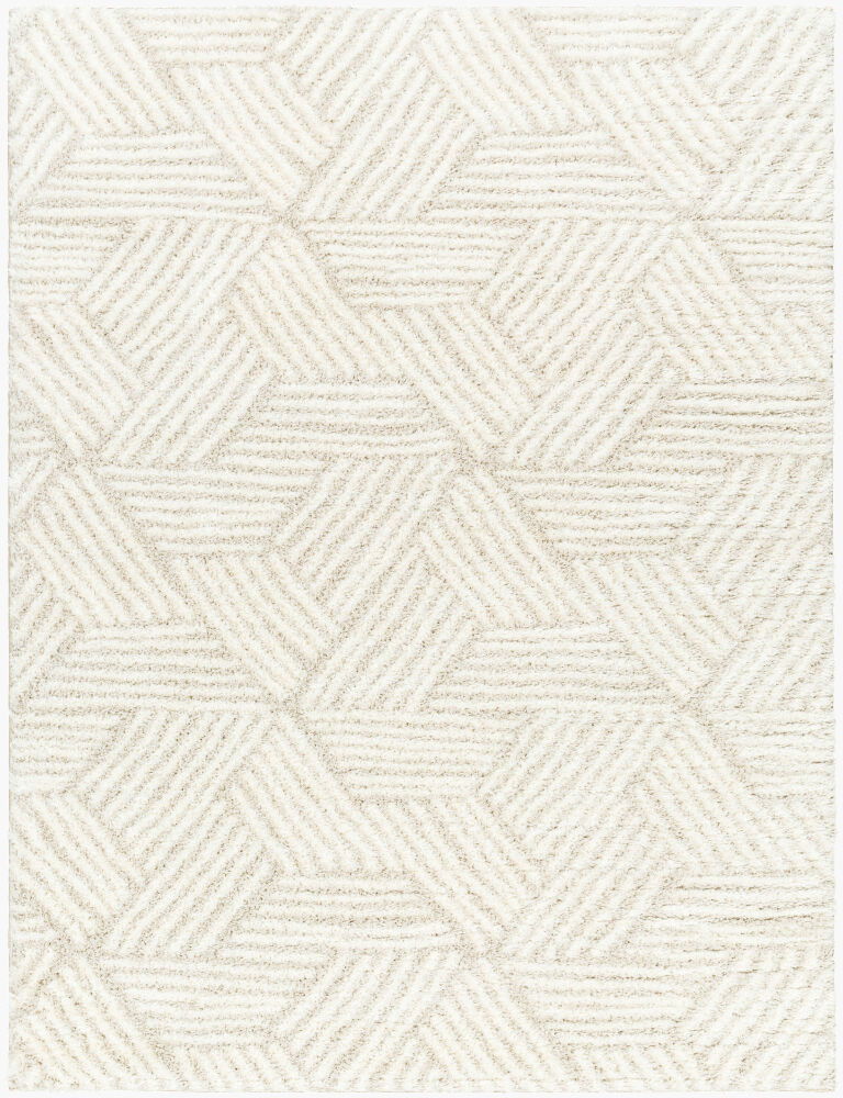 Cloudy Shag Machine Woven Rug, by Surya, 1'3.75" length x 1'3.75" width
