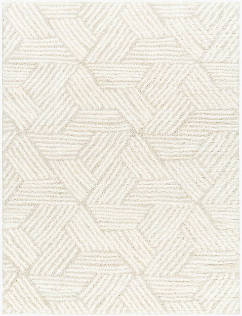 Cloudy Shag Machine Woven Rug