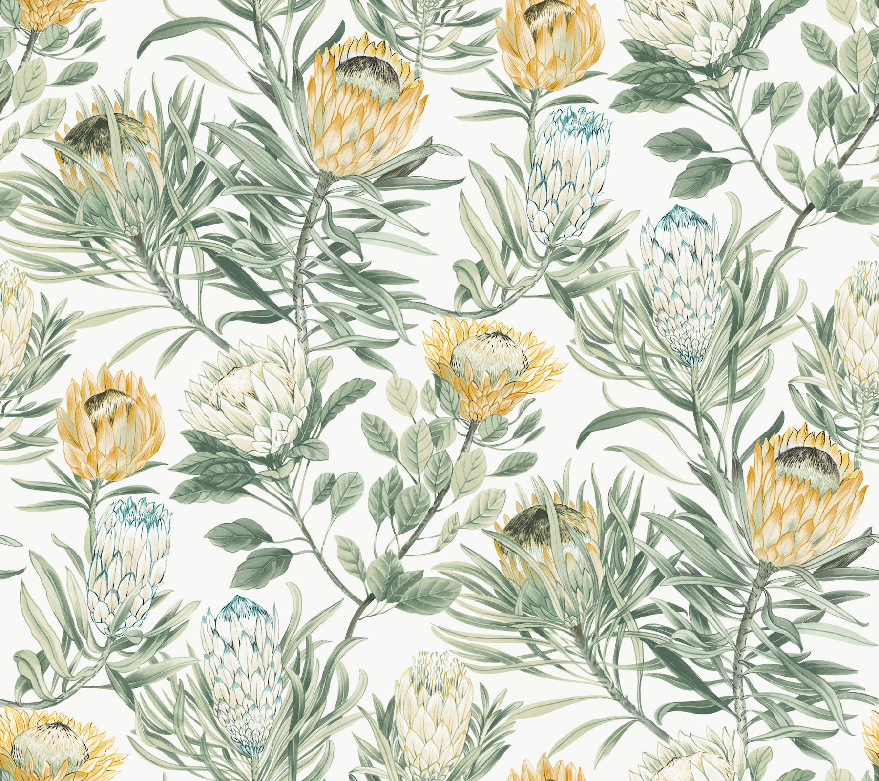 Protea White & Yellow Wallpaper Protea White & Yellow Wallpaper large image