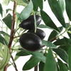 Olea Potted Olive Tree, Artificial Plants & Flower by Uttermost, 29.25" width x 67" height x 29.25" depth thumbnail 4