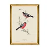 BULLFINCH, Sculptural Wall Art by Mind the Gap thumbnail