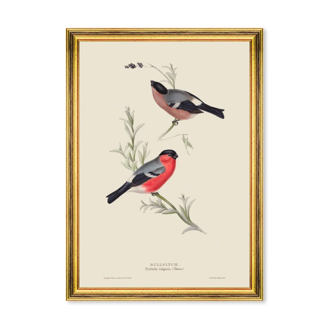BULLFINCH, Sculptural Wall Art by Mind the Gap