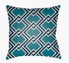 Litchfield Accent Pillow, Decorative Pillow by Surya, 16" length x 16" width thumbnail