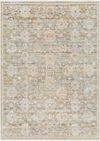 Rojin Machine Woven Rug thumbnail 0