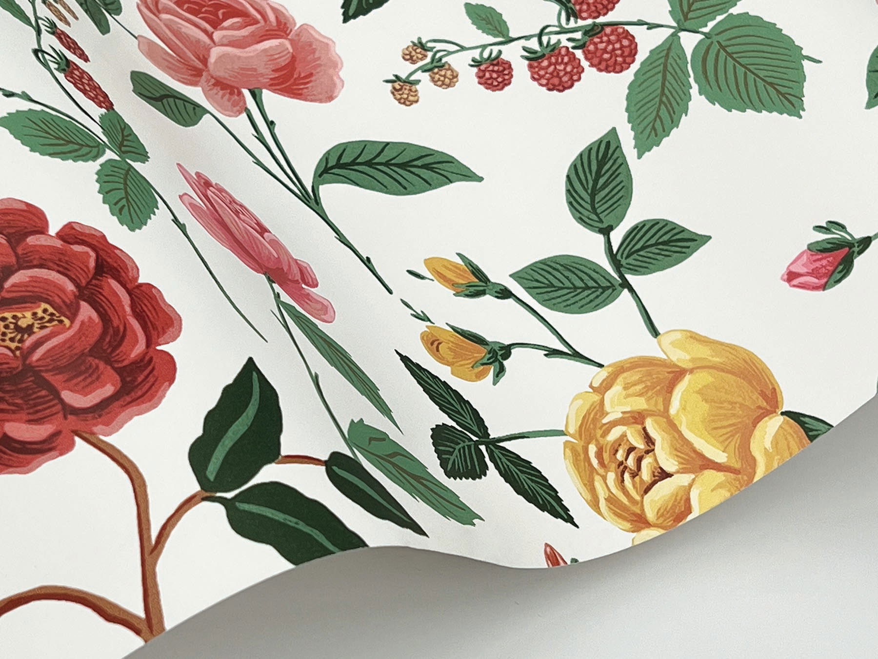 Roses Blush Wallpaper large image 