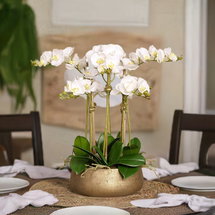 Online Designer Bathroom Orchid Floral Arrangement in Planter