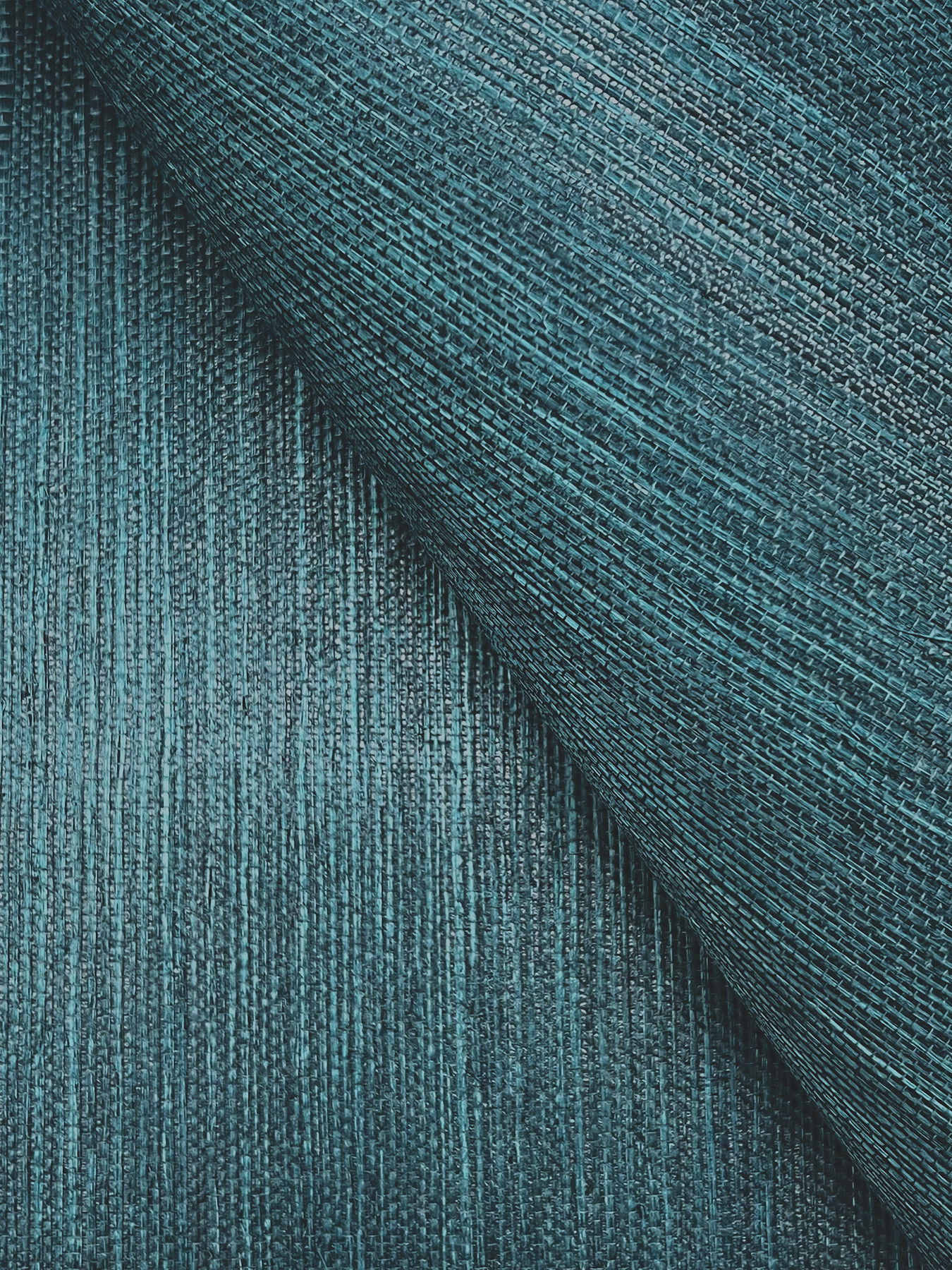 Maguey Sisal Agean Wallpaper Maguey Sisal Agean Wallpaper large image
