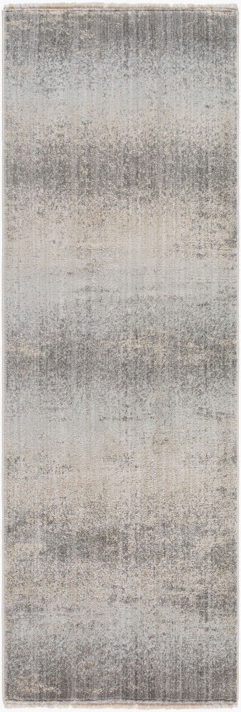 Rojin Machine Woven Rug large image 