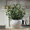 Elena Olive Centerpiece, Artificial Plants & Flower by Uttermost, 20" width x 28" height x 20" depth thumbnail 2