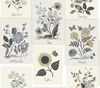 Botanical Prints Beige & Black Wallpaper, by York Wall, 27' length x 2'3" width x 0.02" depth thumbnail 1