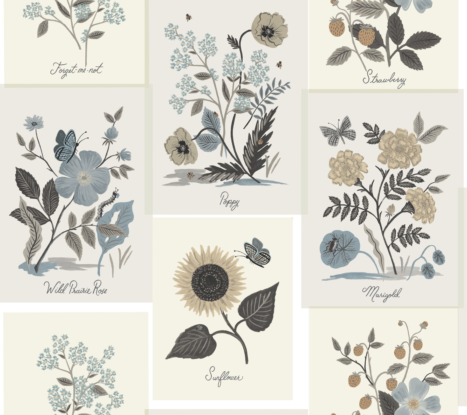 Botanical Prints Beige & Black Wallpaper large image 