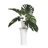 Muse Monstera White Vase Centerpiece, Artificial Plants & Flower by Uttermost, 36" width x 36" height x 36" depth thumbnail 5