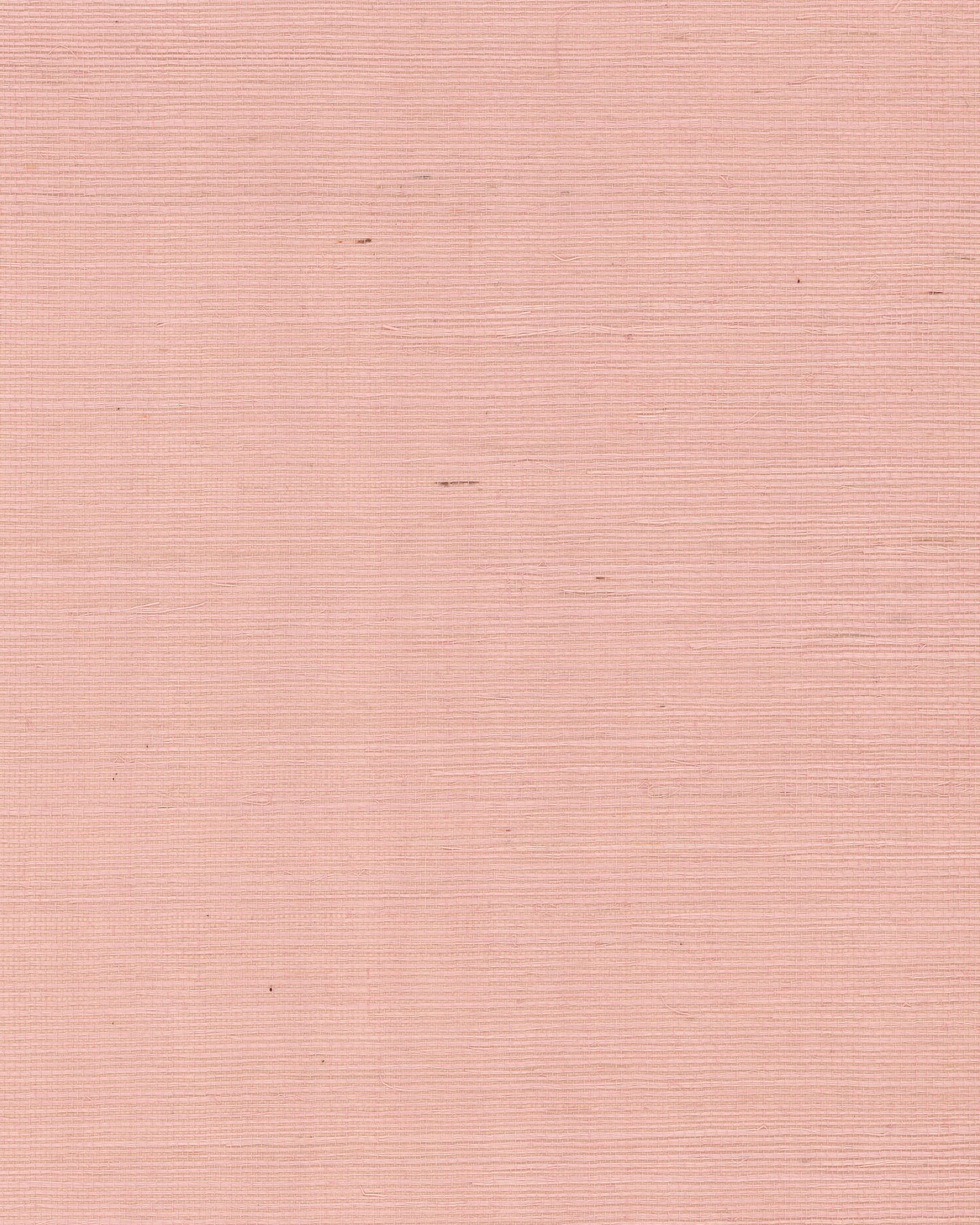 Maguey Sisal Petal Wallpaper large image 