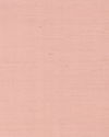 Maguey Sisal Petal Wallpaper thumbnail 2