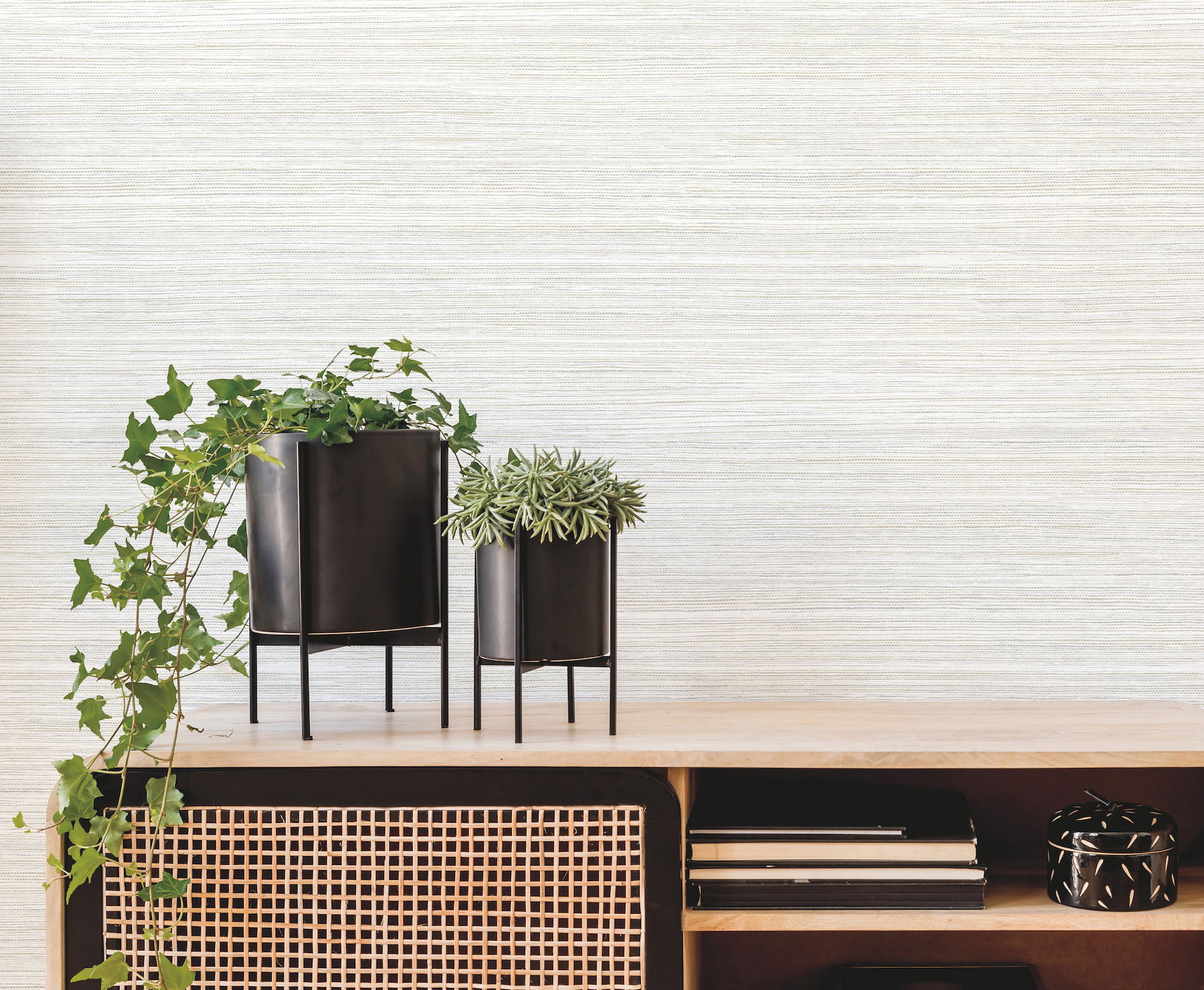 Fountain Grass Ivory Wallpaper large image 