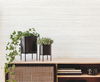 Fountain Grass Ivory Wallpaper thumbnail 1
