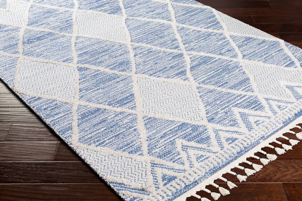 Valencia Machine Woven Rug, by Surya