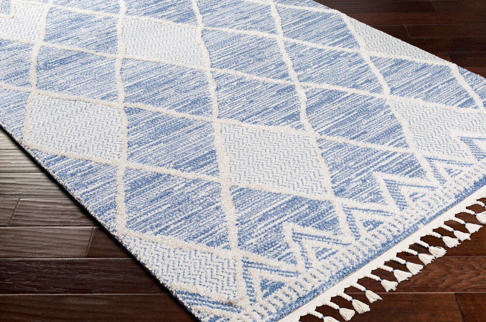 Valencia Machine Woven Rug large image 