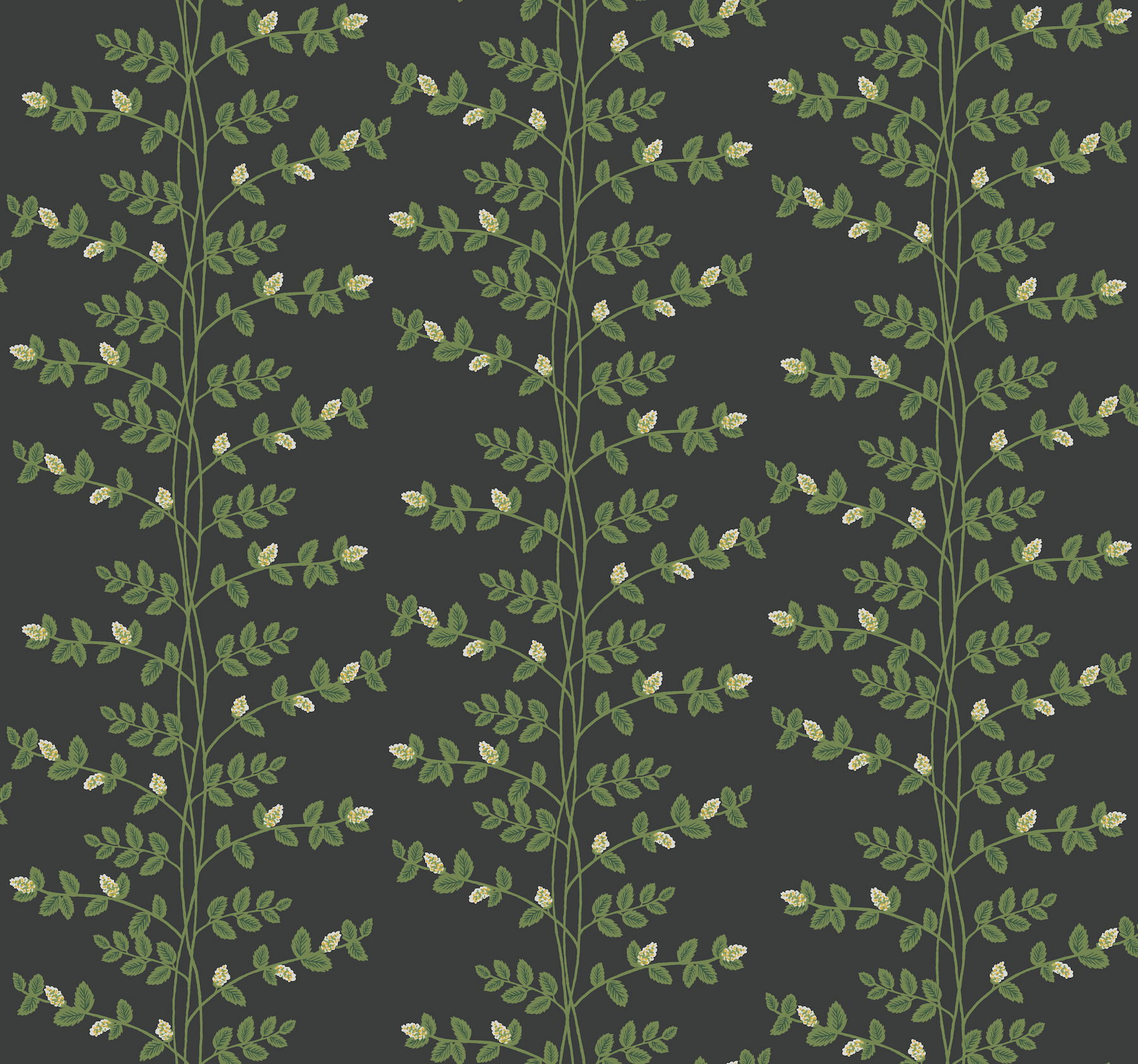 Climbing Vine Black Wallpaper large image 