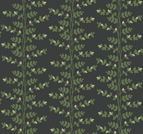 Climbing Vine Black Wallpaper