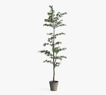 Online Designer Living Room Faux Black Olive Tree, Mini Leaf, Green