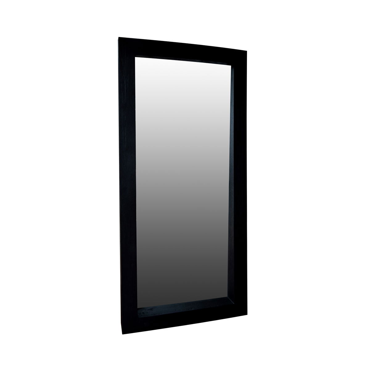 Lian Floor Mirror, by Dovetail, 41" width x 88" height x 6" depth View 3