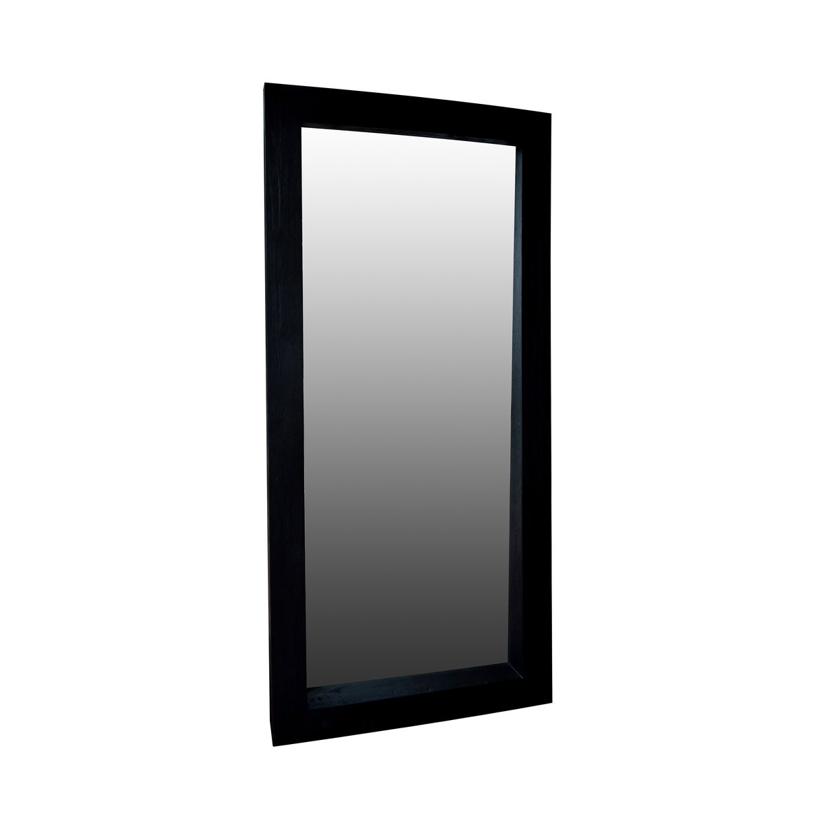 Lian Floor Mirror, by Dovetail, 41" width x 88" height x 6" depth View 3