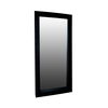 Lian Floor Mirror, by Dovetail, 41" width x 88" height x 6" depth thumbnail 3