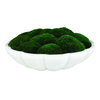 Awaken Moss Centerpiece, Decorative by Uttermost, 16.75" width x 6" height x 16.75" depth thumbnail 1
