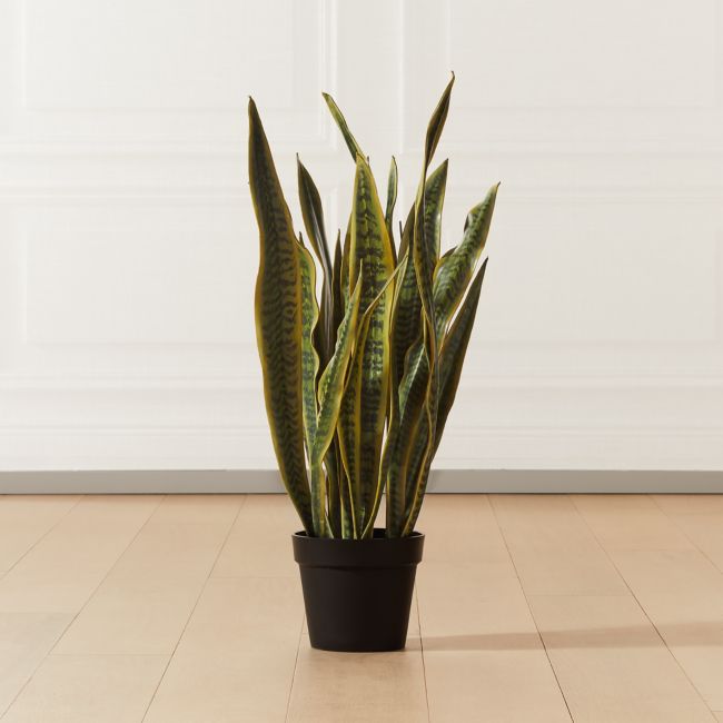 Online Designer Combined Living/Dining Faux Snake Plant