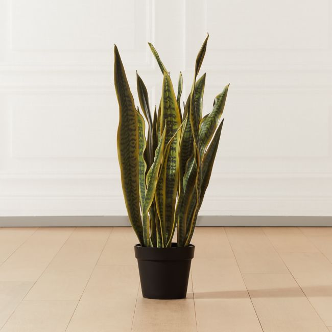 Online Designer Hallway/Entry Faux Snake Plant 3'