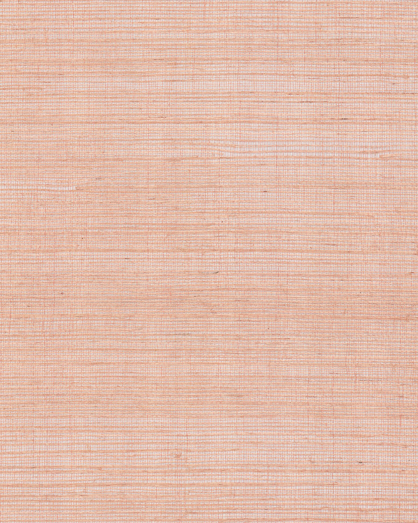 Maguey Sisal Rose Wallpaper large image 