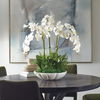 Flourish Orchid Centerpiece thumbnail 1