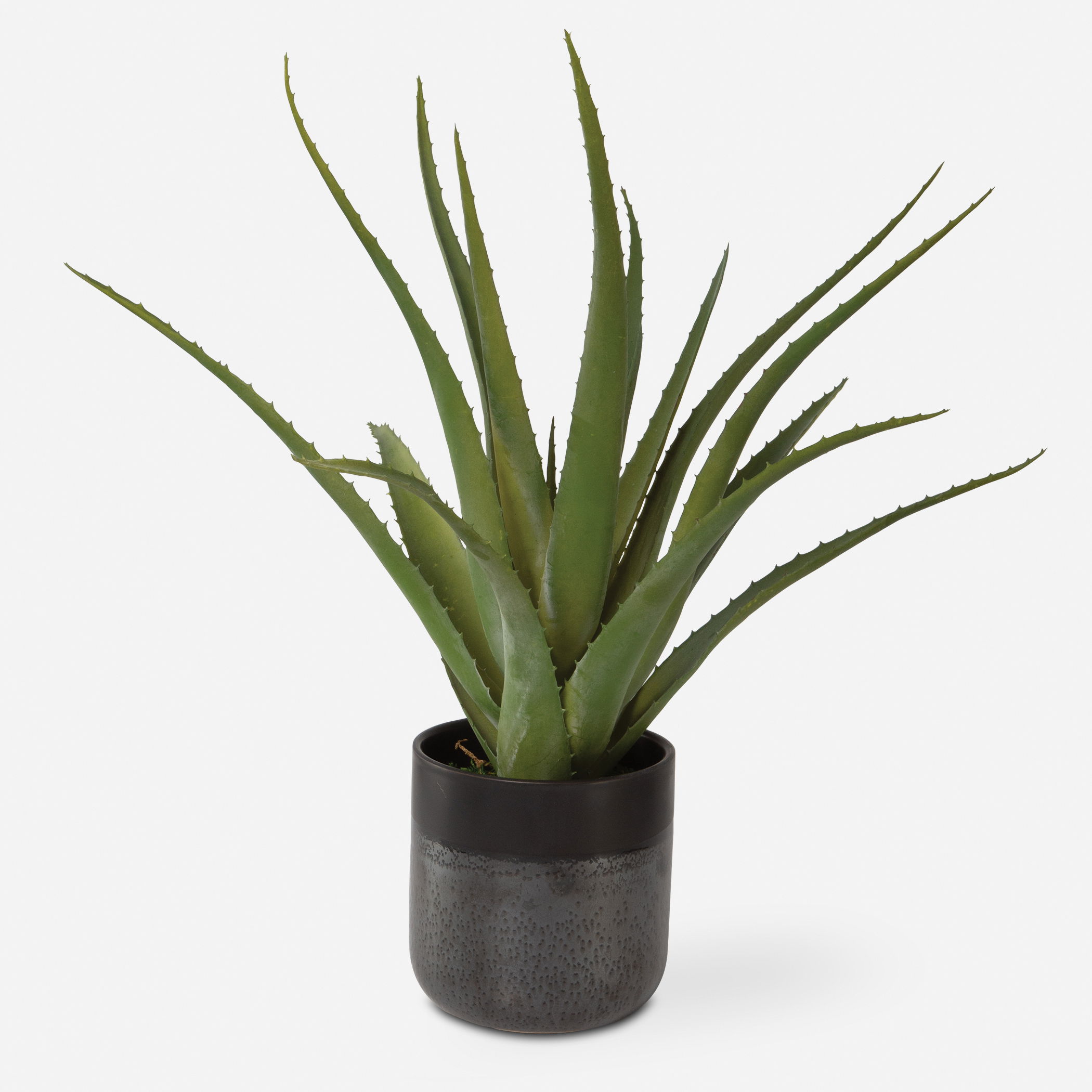 Tucson Aloe Planter large image 