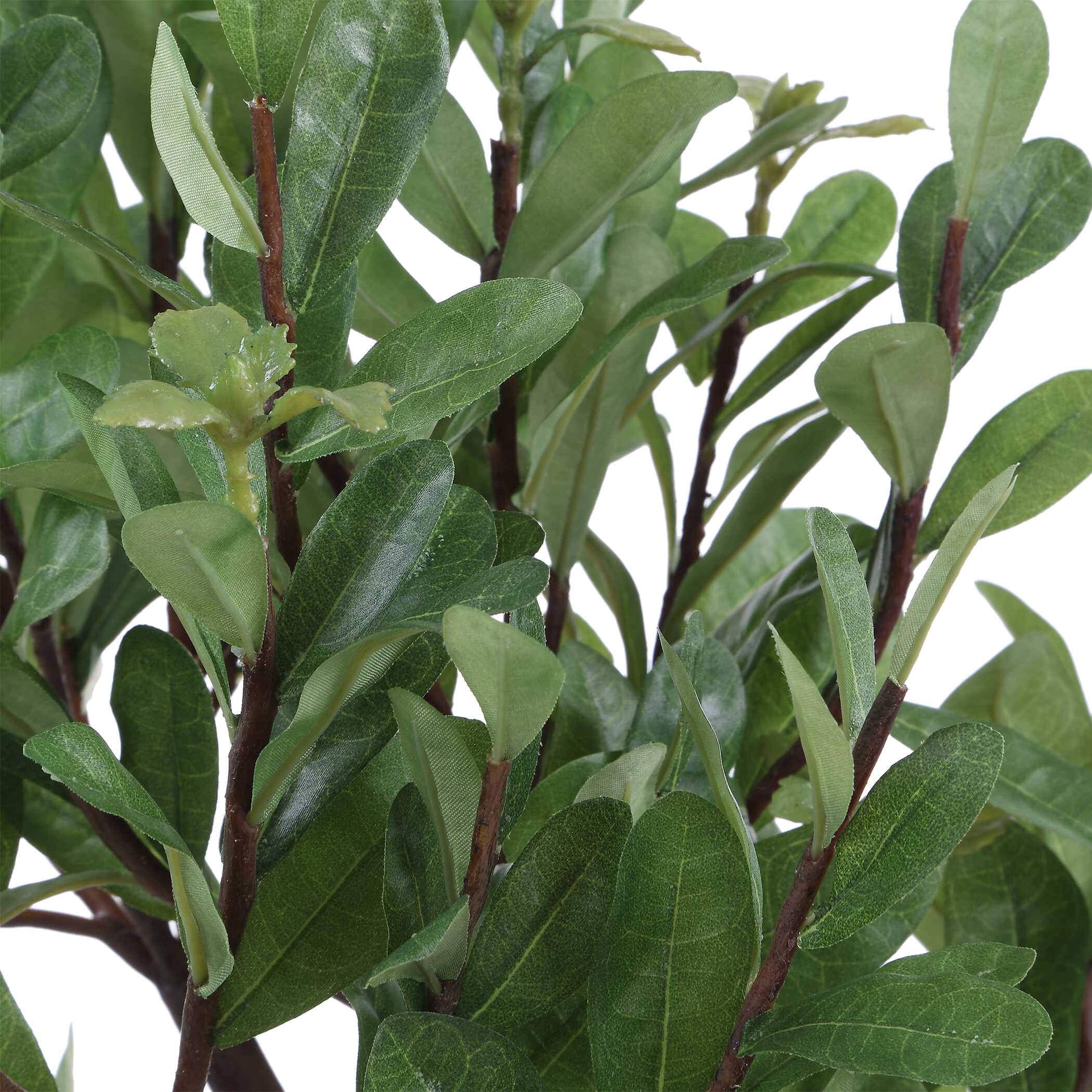 Arbor Strawberry Tree, Decorative by Uttermost, 13.5" width x 43" height x 14.75" depth View 6