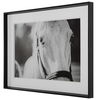 Eyes On The Prize Framed Print thumbnail 5