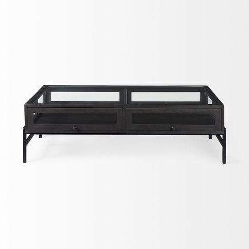 Arelius 49.5"L Rectangular Glass-Top Black-Brown Wood with Black Metal Base Display Coffee Table