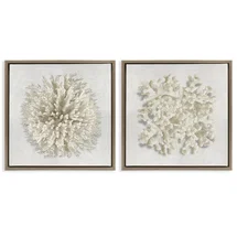 Online Designer Bathroom Distinct Natural Coral 2pc Floating Frame Set, design by Caroline Kelly