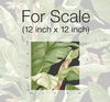 Banana Leaf Black & Green Peel & Stick Wallpaper thumbnail 0