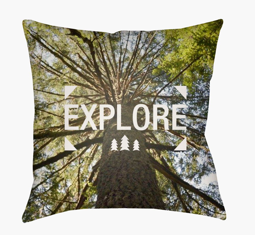 Explore Accent Pillow, Decorative Pillow by Surya, 18" length x 18" width