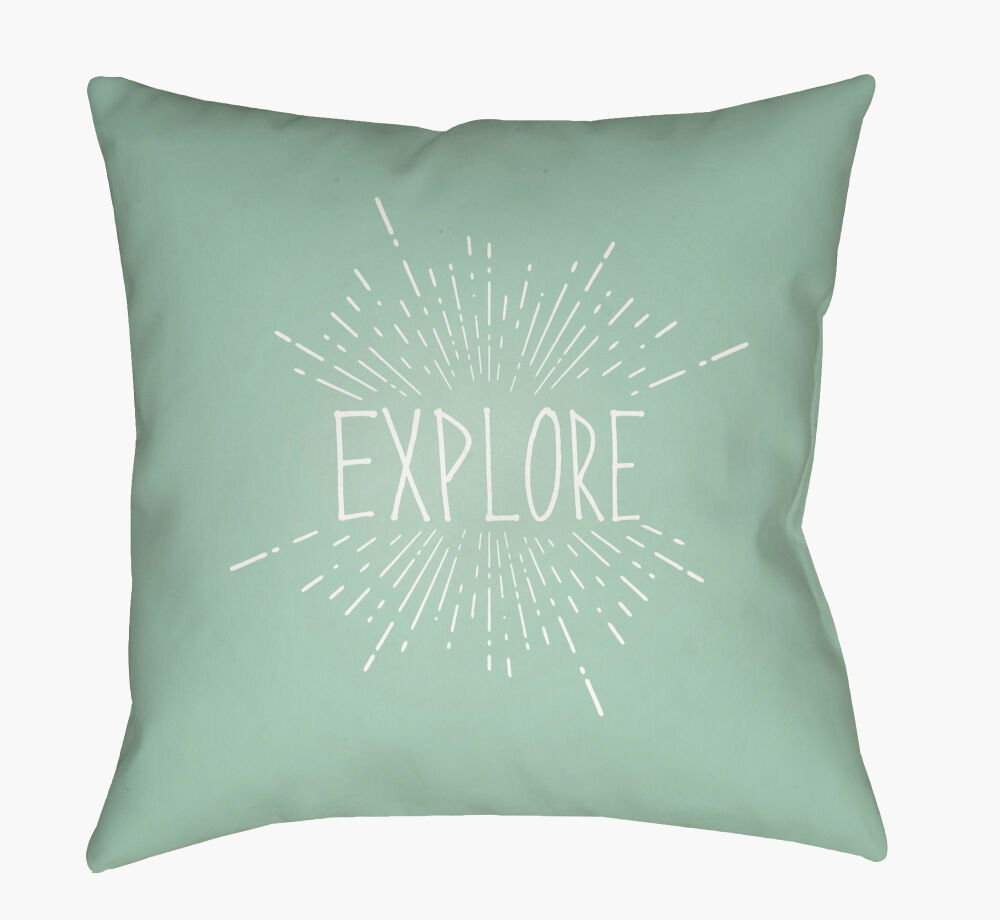 Explore II Accent Pillow, Decorative Pillow by Surya, 20" length x 20" width