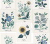 Botanical Prints White & Blue Wallpaper thumbnail 0