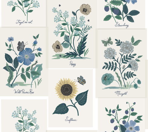 Botanical Prints White & Blue Wallpaper