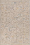 Avant Garde Machine Woven Rug, by Surya, 9'6.17" length x 6'6.74" width thumbnail