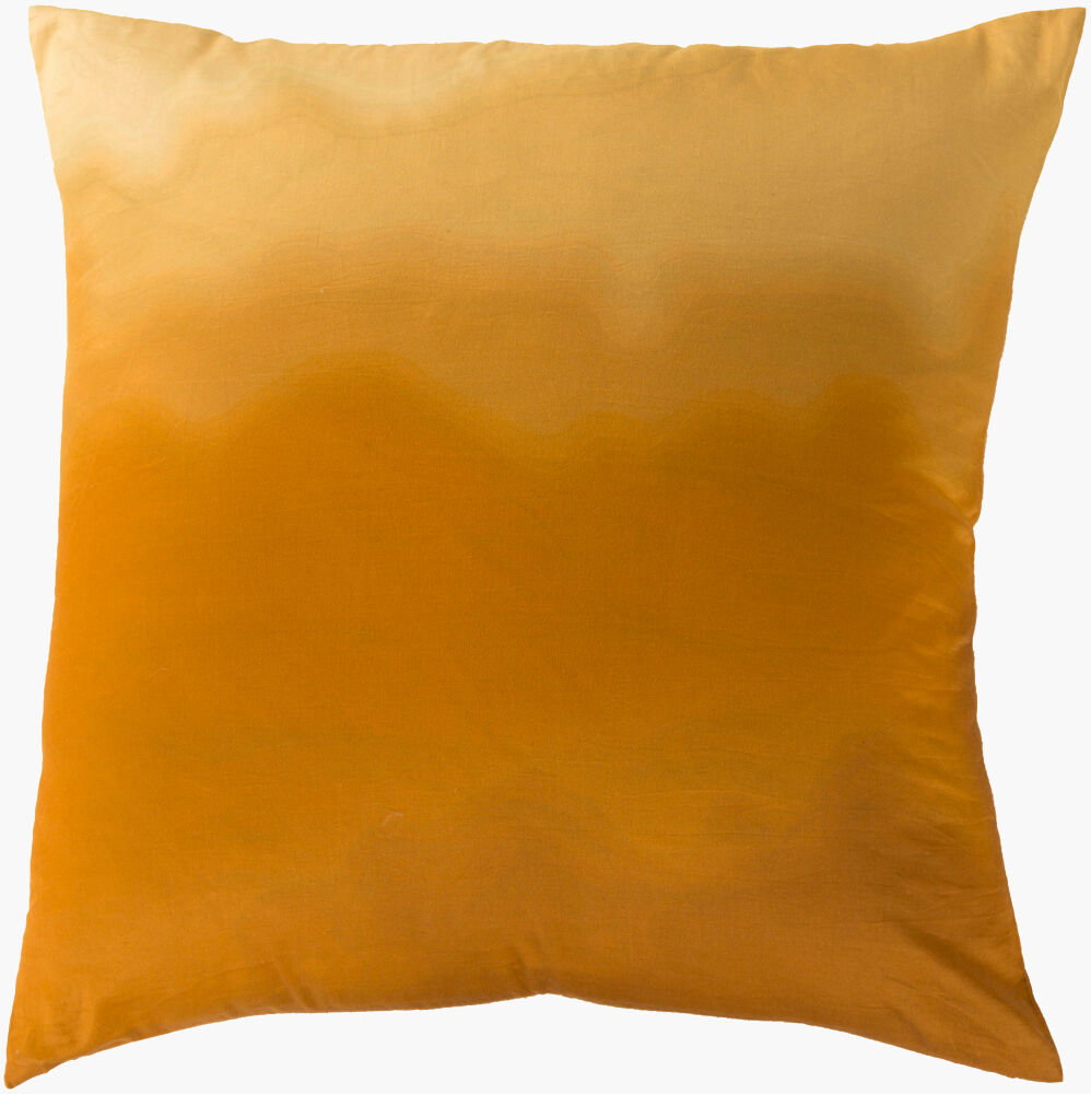 Ombra Accent Pillow, Decorative Pillow by Surya, 22" length x 22" width